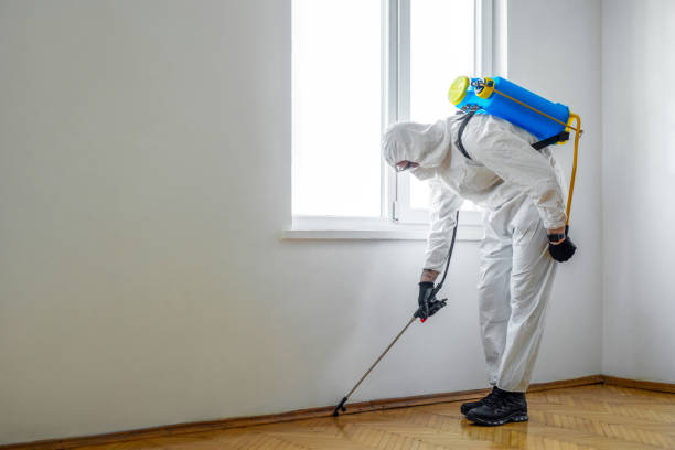 Best Residential Pest Control  in Jericho, NY